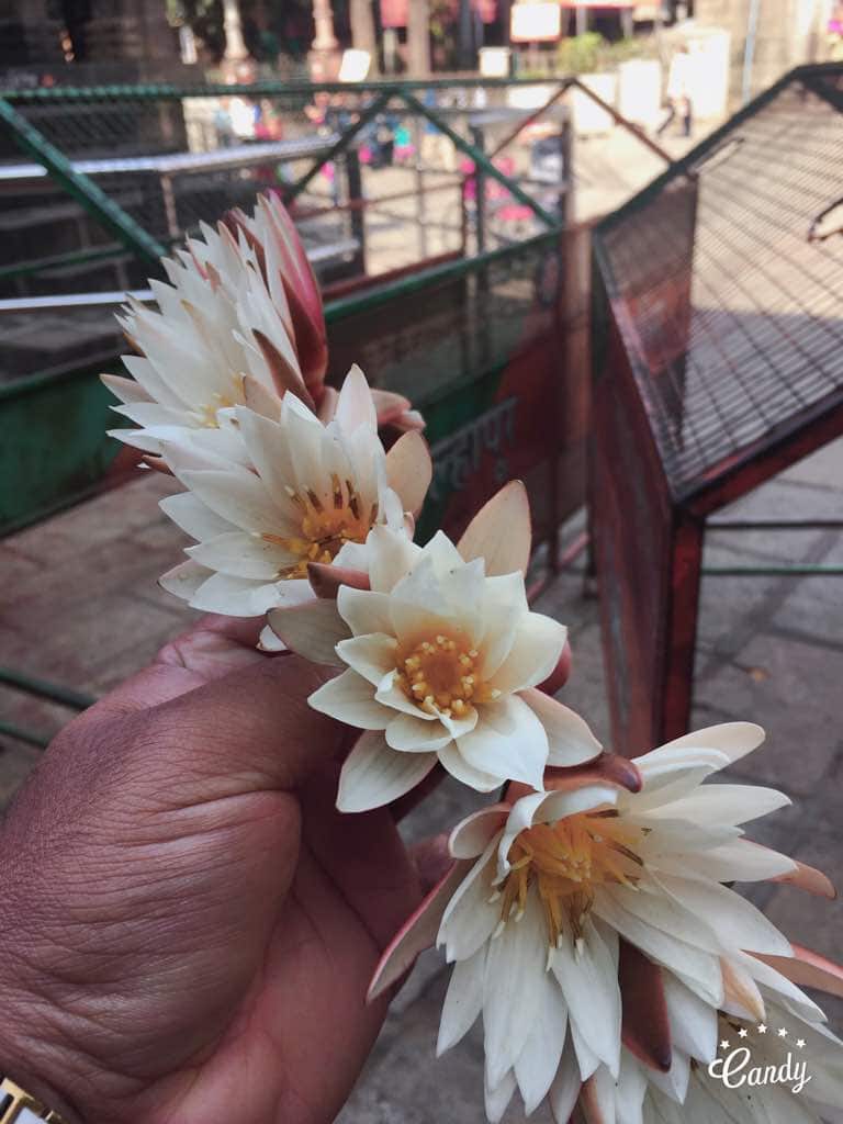 Varanasi demographics
