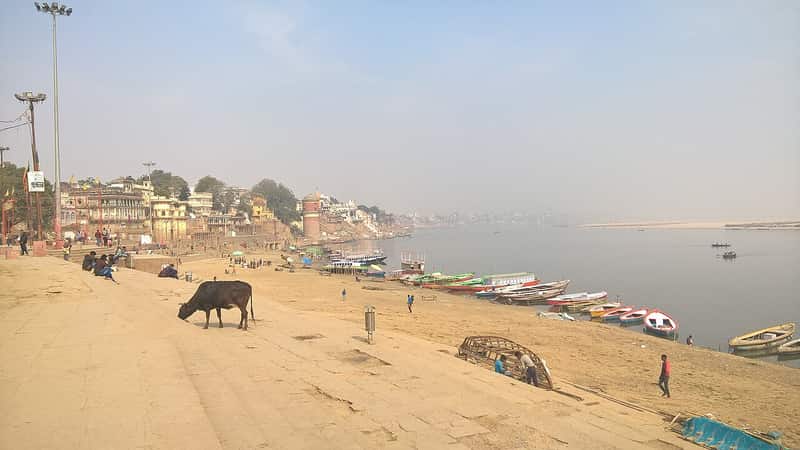Boats moored at Assi Ghat in the evening light