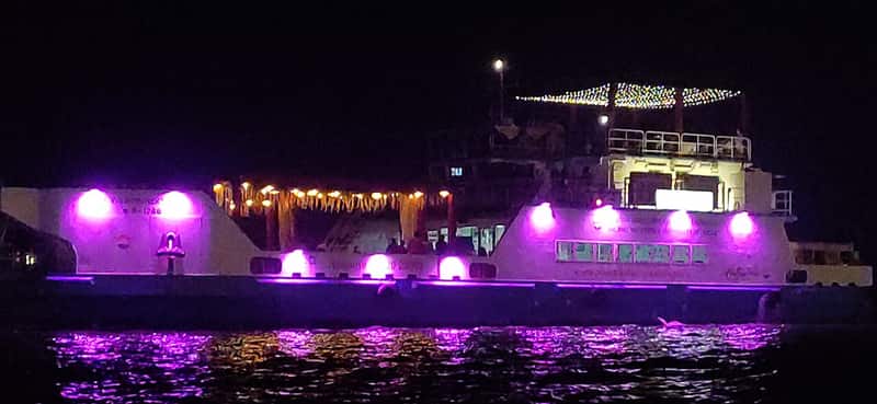 The steps of Janaki Ghat seen from a boat on the Ganga