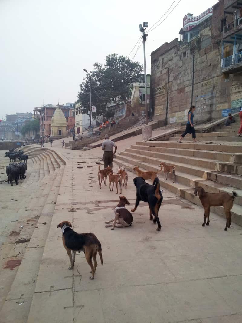 The quiet steps of neighboring Narad Ghat
