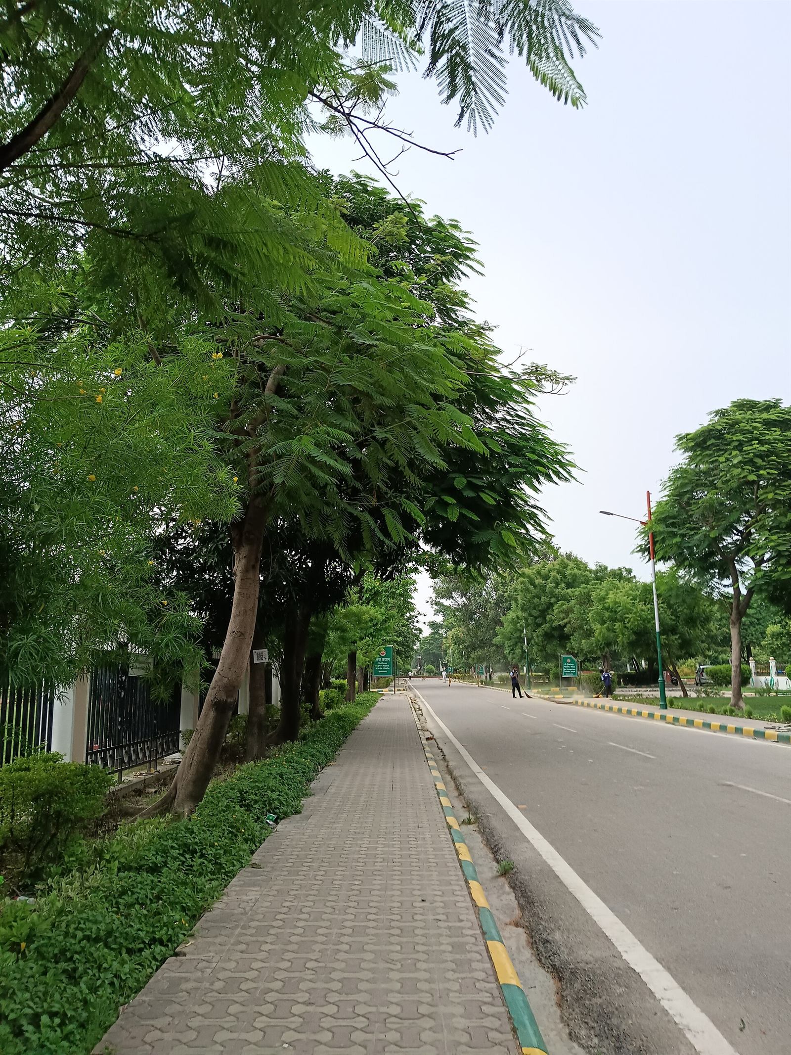 The Deer Park — Sarnath literally means "deer park"